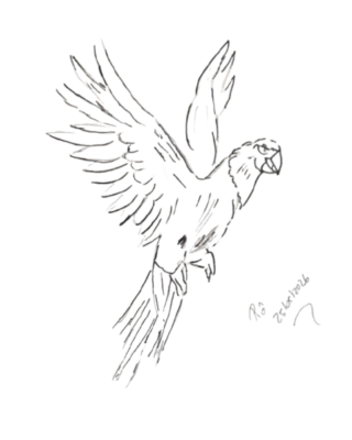 Design sem nome (1)