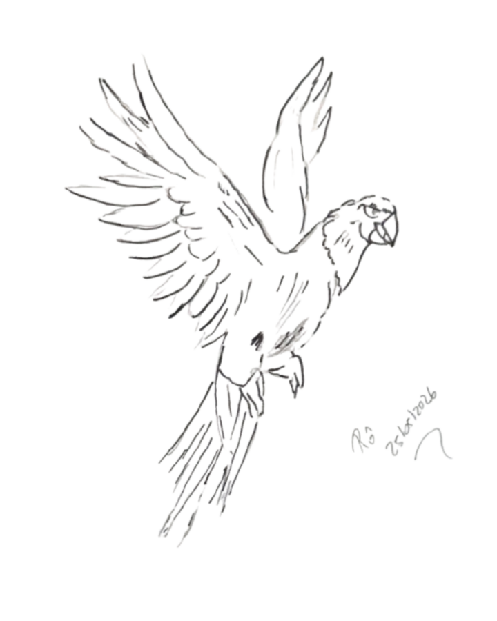 Design sem nome (1)