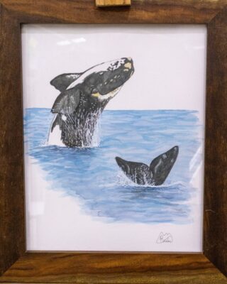 _MG_8455 (1)1