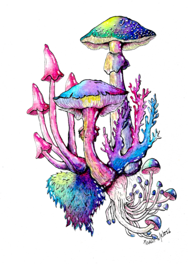 20260618-aquarela-cogumelos-e-coral-thais-melo-instagram