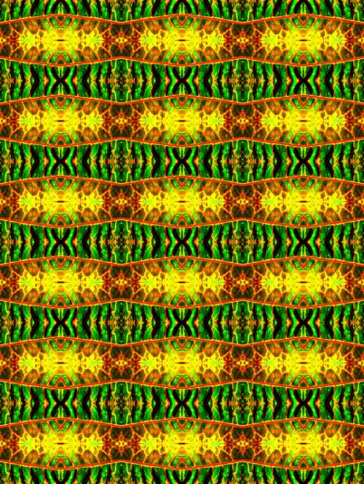 BIXO5