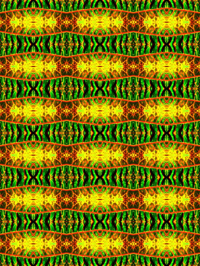 BIXO5
