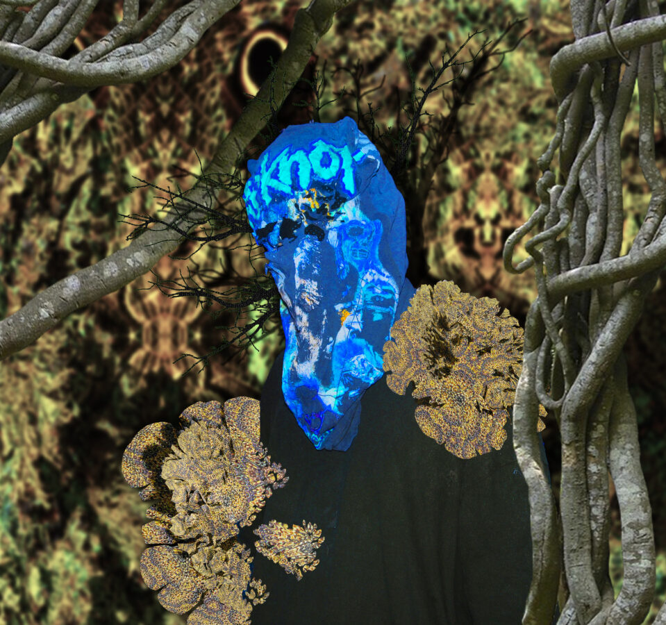 bixo img1
