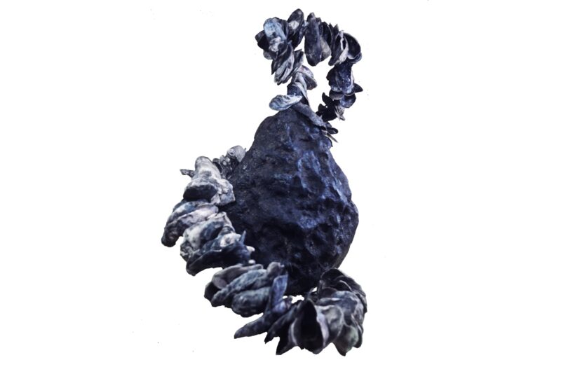 obra13