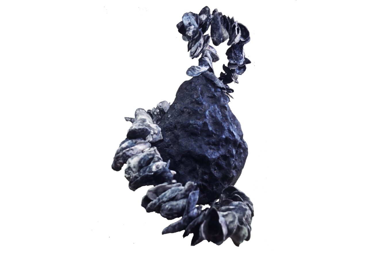 obra13
