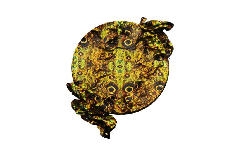 obra14