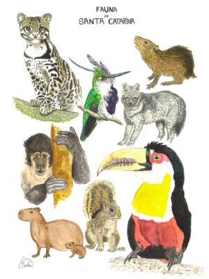 Fauna Catarinense 2