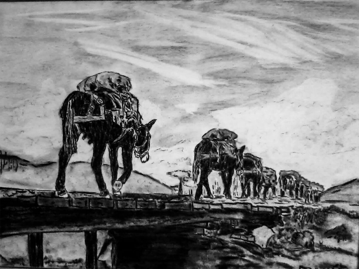 animais de guerra2