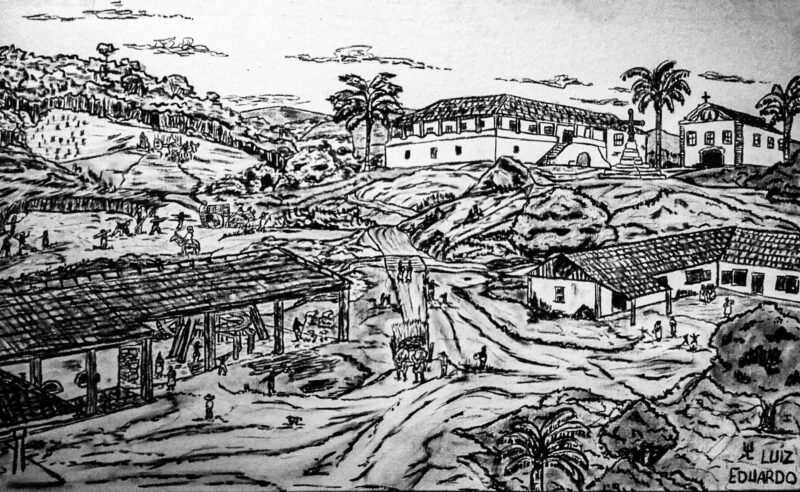 fazenda de cana de acucar copy