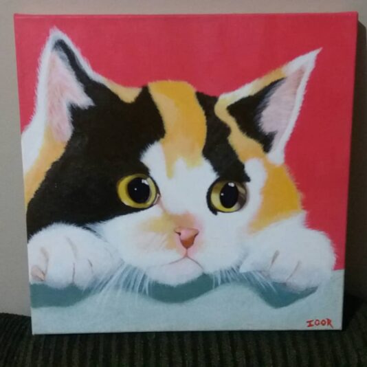 gato