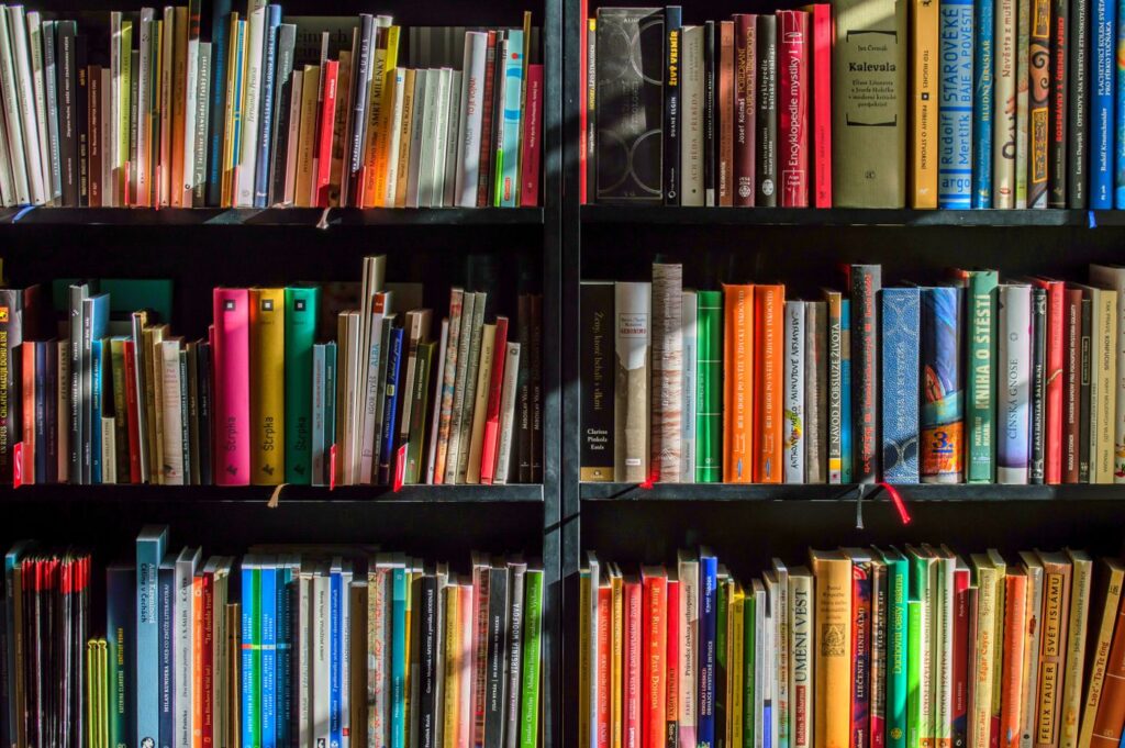Livros organizados em prateleiras representando arquivo, memória e classificação do conhecimento
